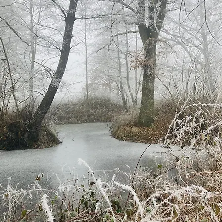 Statek Polanka Pensjonat Malesov