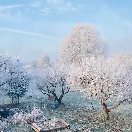 Statek Polanka Malesov