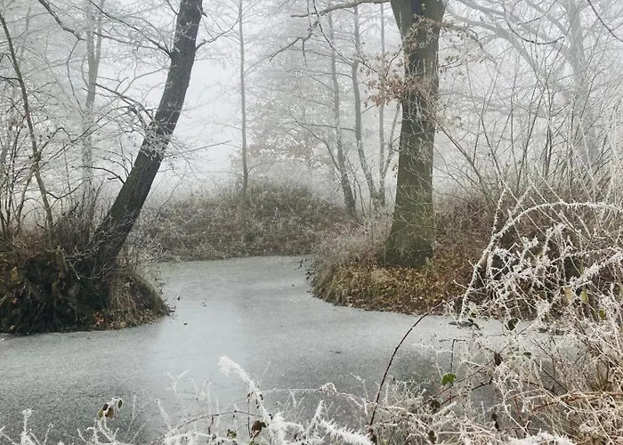 Statek Polanka بيت ضيافة Malesov