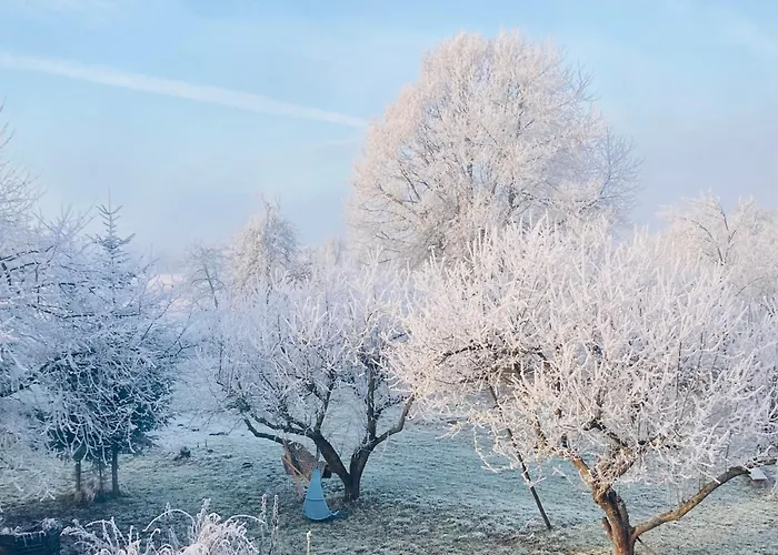 Statek Polanka Malesov