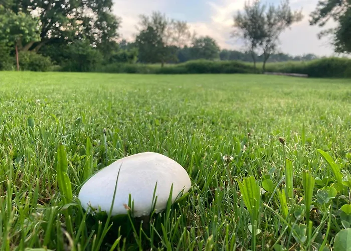 Pensjonat Statek Polanka 3*